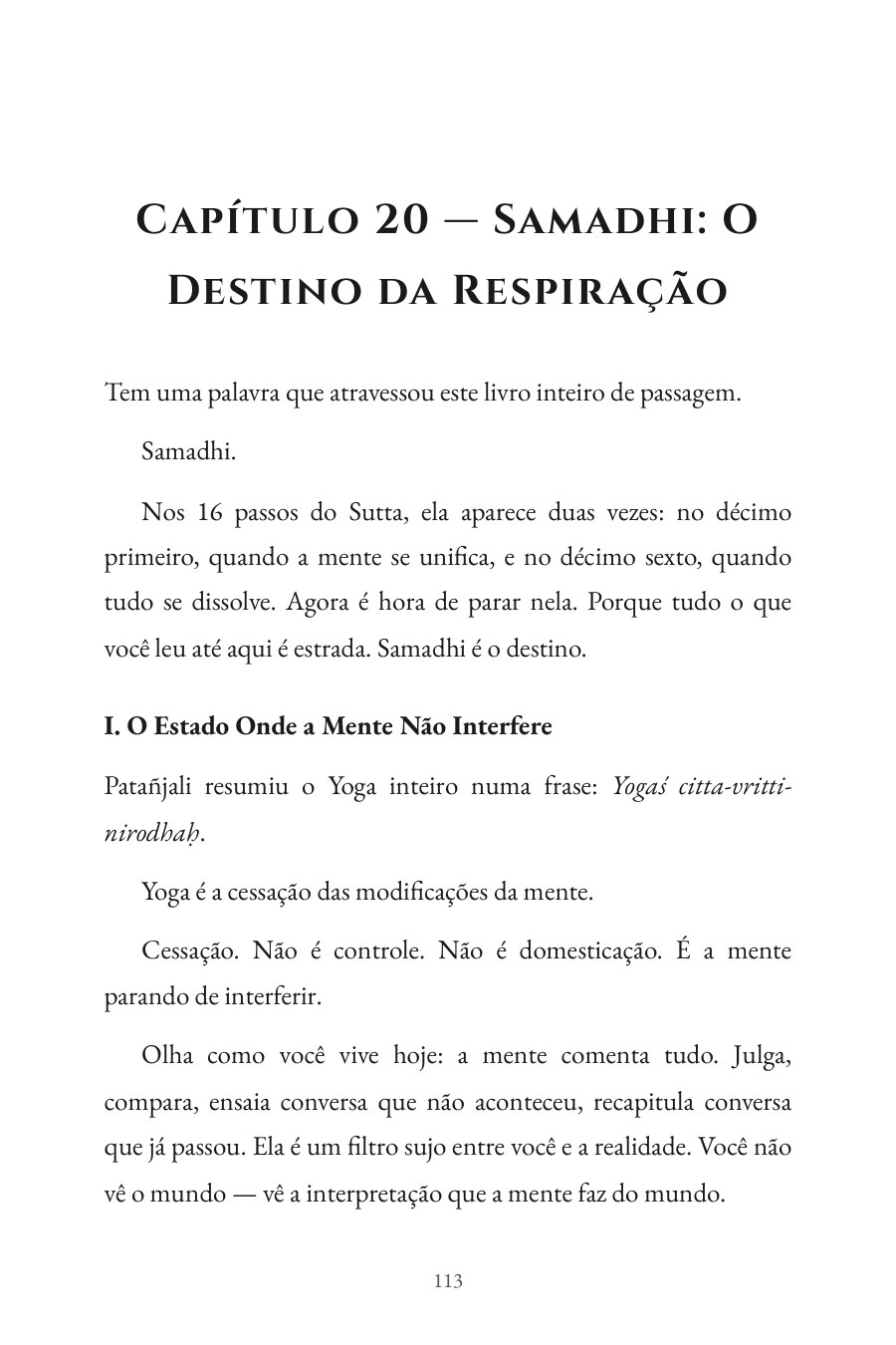 Página interna: Capítulo 20, Samadhi