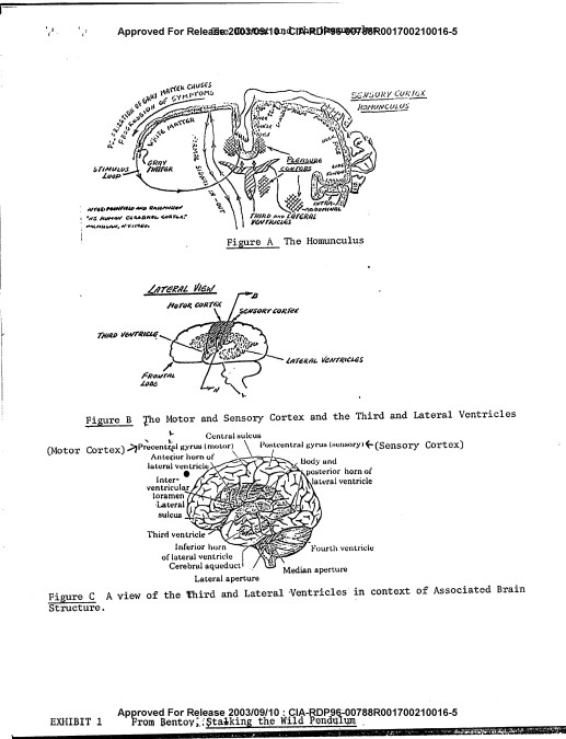 Página do documento CIA · Programa Gateway, análise técnica de 1983